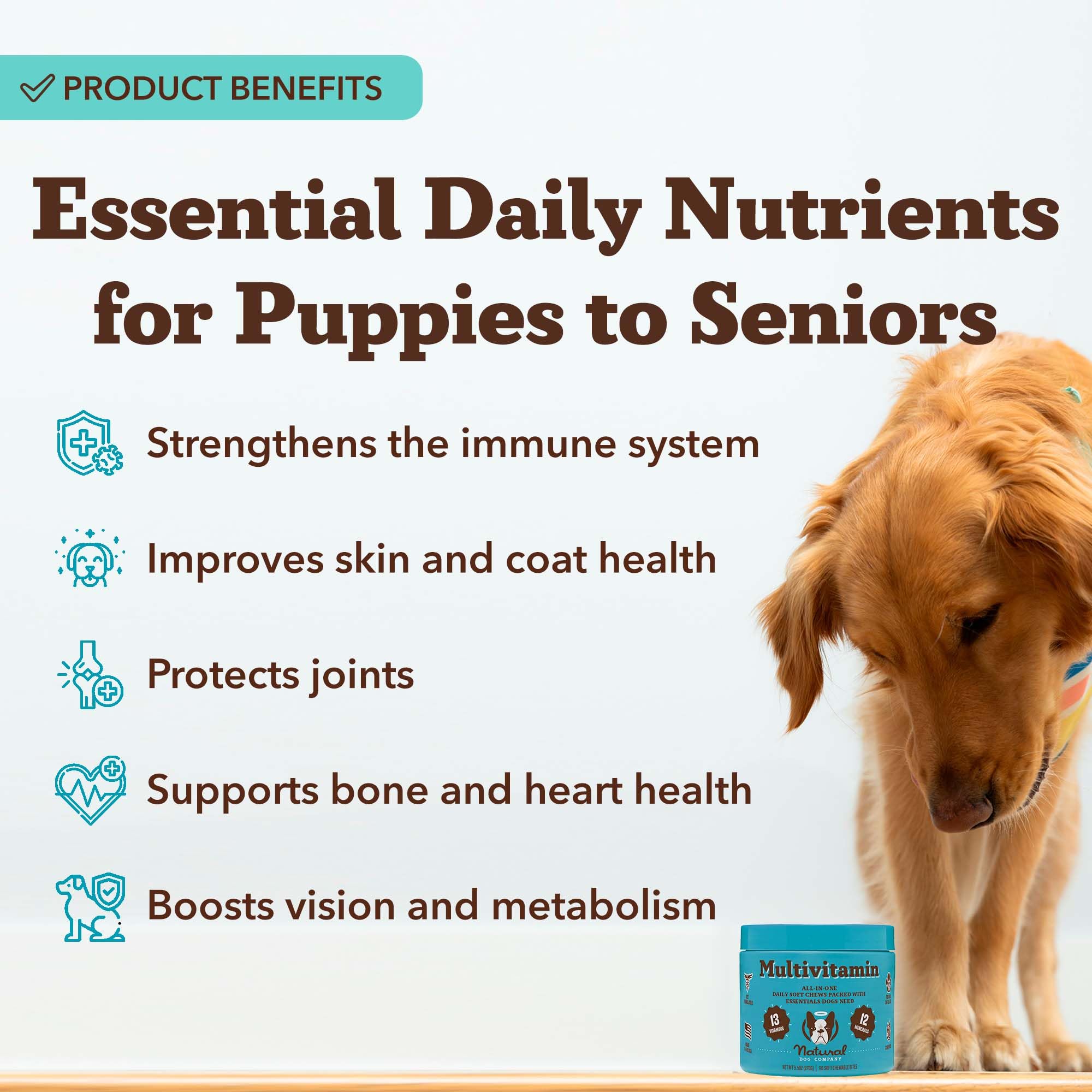 Natural Dog Company 25-in-1 soft chews closeup shows tasty texture for easy use