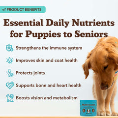 Natural Dog Company 25in1 soft chews for adult dogs beside bowl for easy daily use