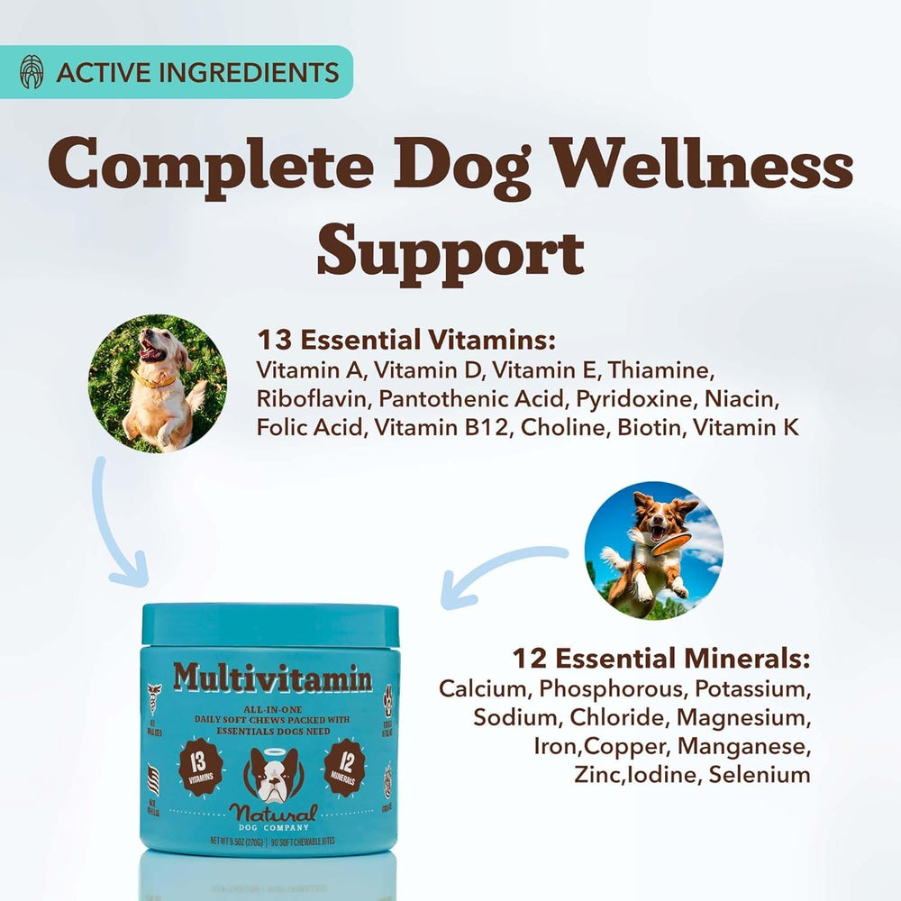 Natural Dog Company 25in1 soft chews for senior dogs with calendar for aging mobility