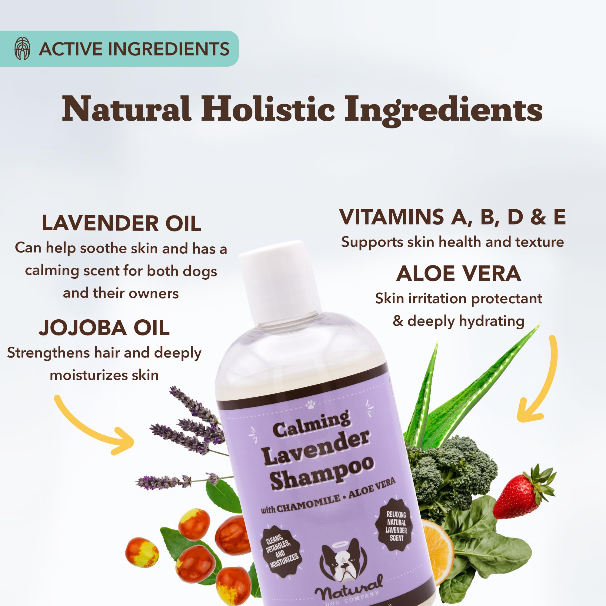 Natural Dog Company Aplicación champú lavanda: espuma rica para limpiar sin irritar