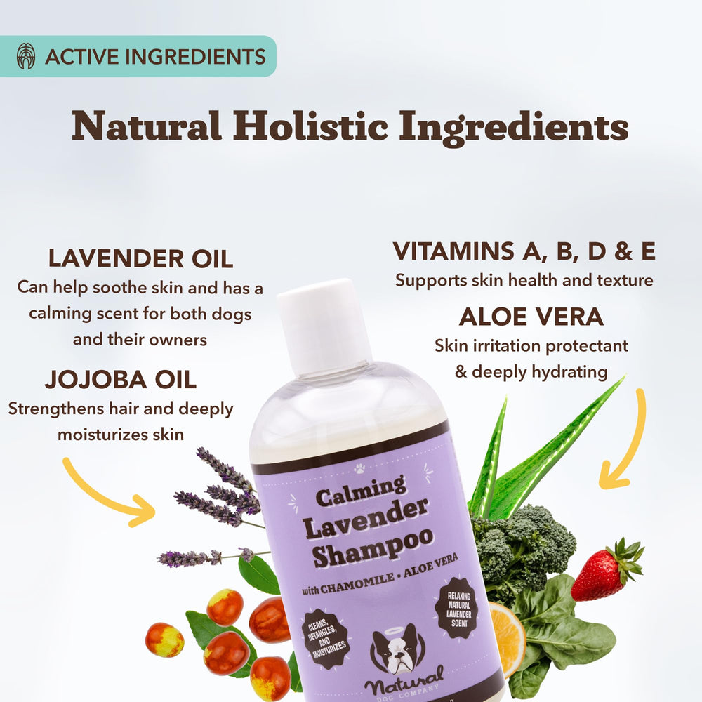 Natural Dog Company Aplicación champú lavanda: espuma rica para limpiar sin irritar