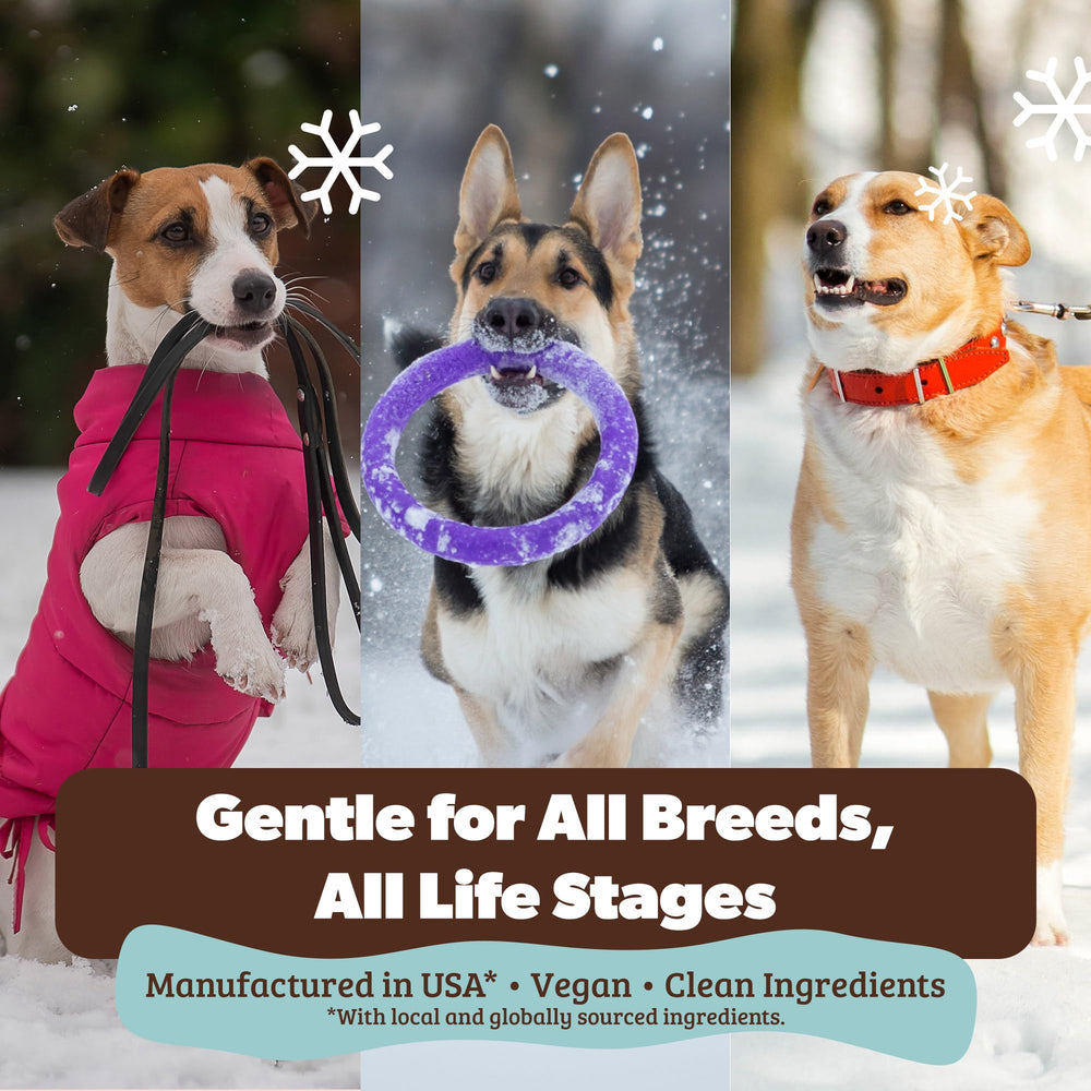 Natural Dog Company Bálsamo Calmante para Piel de Perros, contiene coco y caléndula.