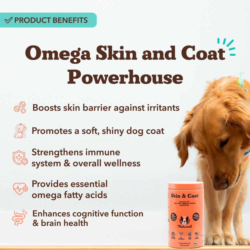 Natural Dog Company biotin vitamin-e dog supplement bottle emphasizes nutrient blend for shinier coat