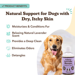 Natural Dog Company Botella champú lavanda: fórmula suave y hipoalergénica para piel sensible