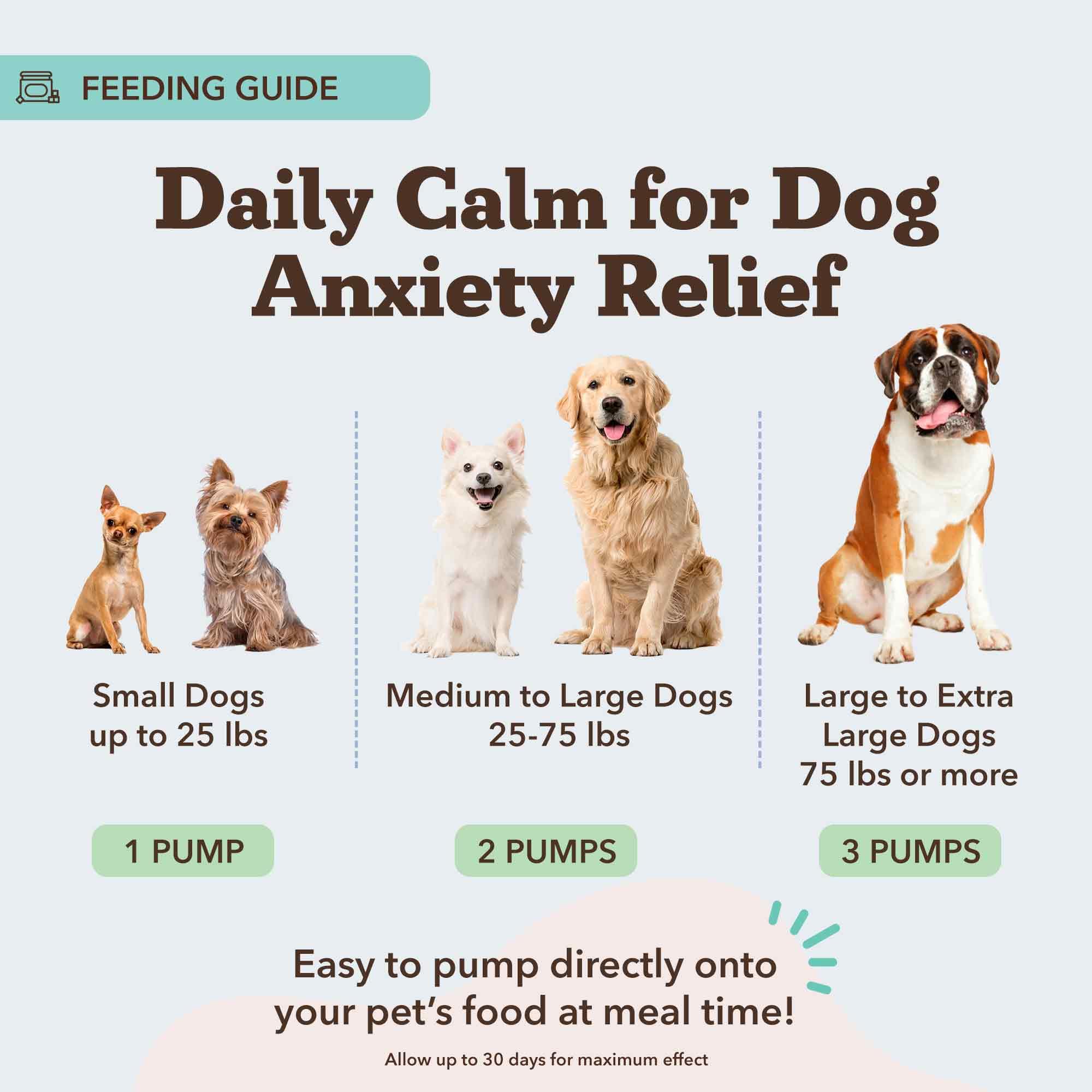 Natural Dog Company Calming Oil chamomile and ginger blend fosters relaxation