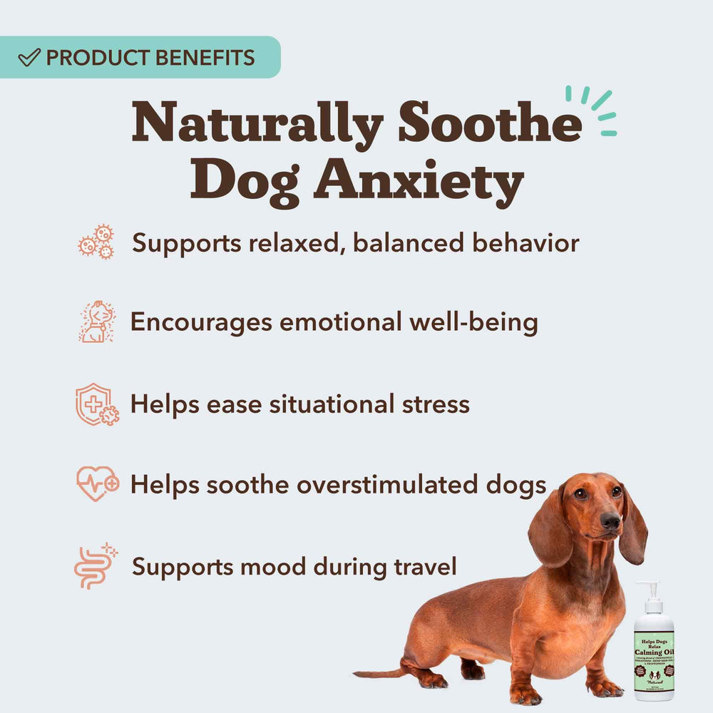 Natural Dog Company Calming Oil dog relaxing during storms
