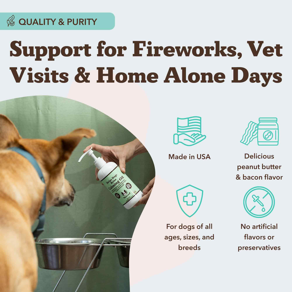 Natural Dog Company Calming Oil calm during thunderstorms and loud events
