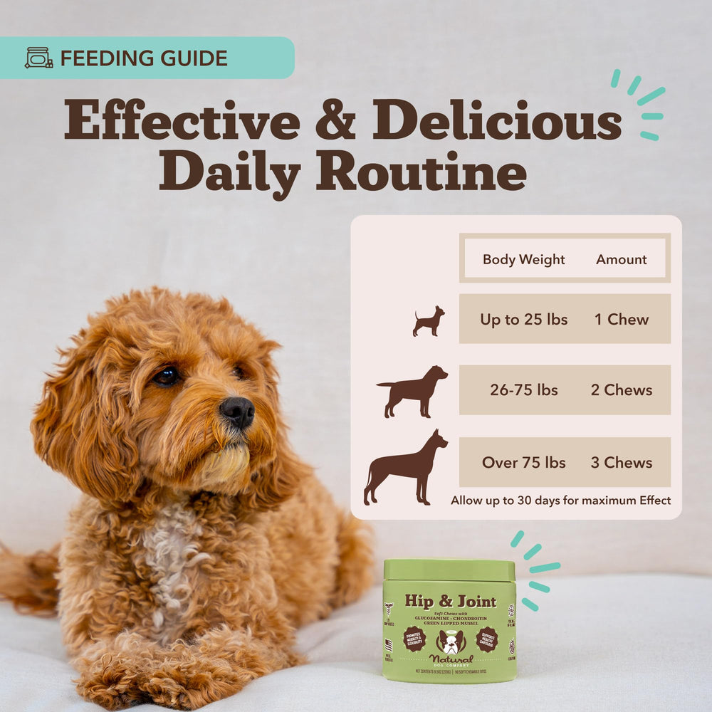 Natural Dog Company chicken-flavor supplement image highlighting tasty daily dosing.