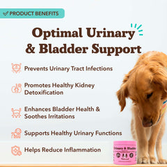 Natural Dog Company cranberry-d-mannose soft chews promote urinary wellness as part of daily care.