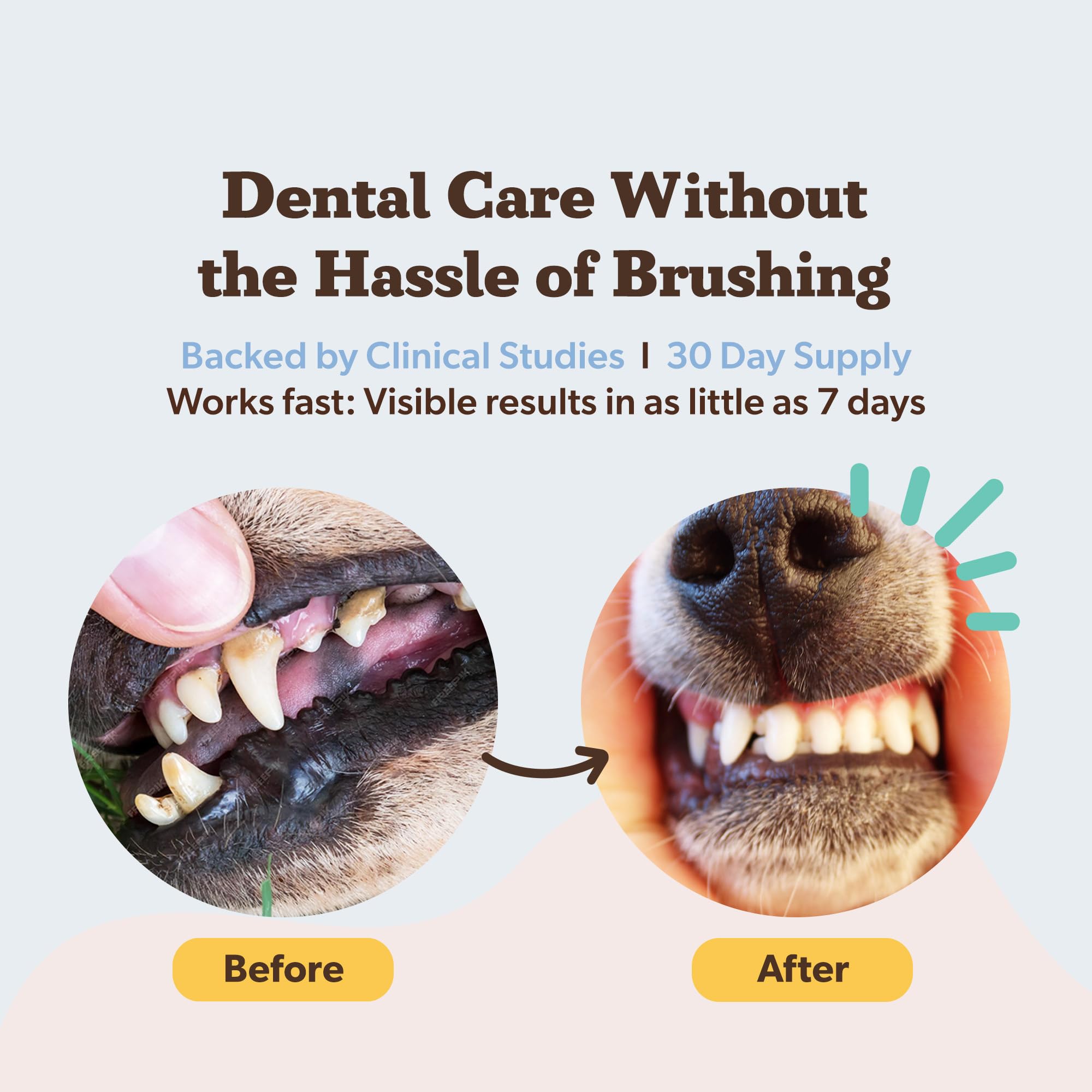 Natural Dog Company dental powder being sprinkled on dog food for easy no-brush use