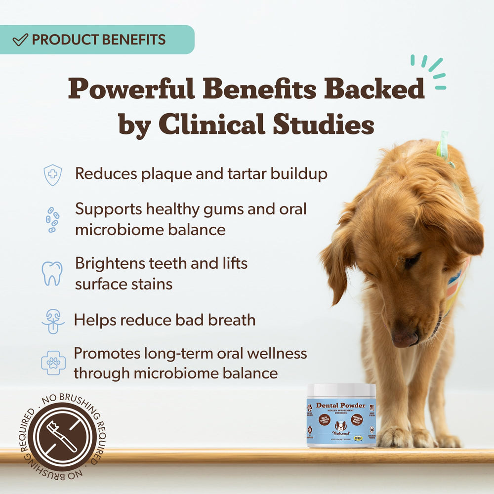 Natural Dog Company dental powder ingredients parsley and green tea for antioxidant support