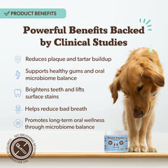 Natural Dog Company dental powder ingredients parsley and green tea for antioxidant support
