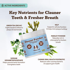 Natural Dog Company dental powder USA-made packaging signals quality and care