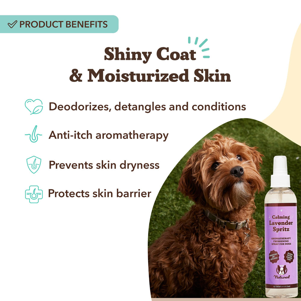 Natural Dog Company desodorante para perros en aerosol, combate olores entre paseos y baños