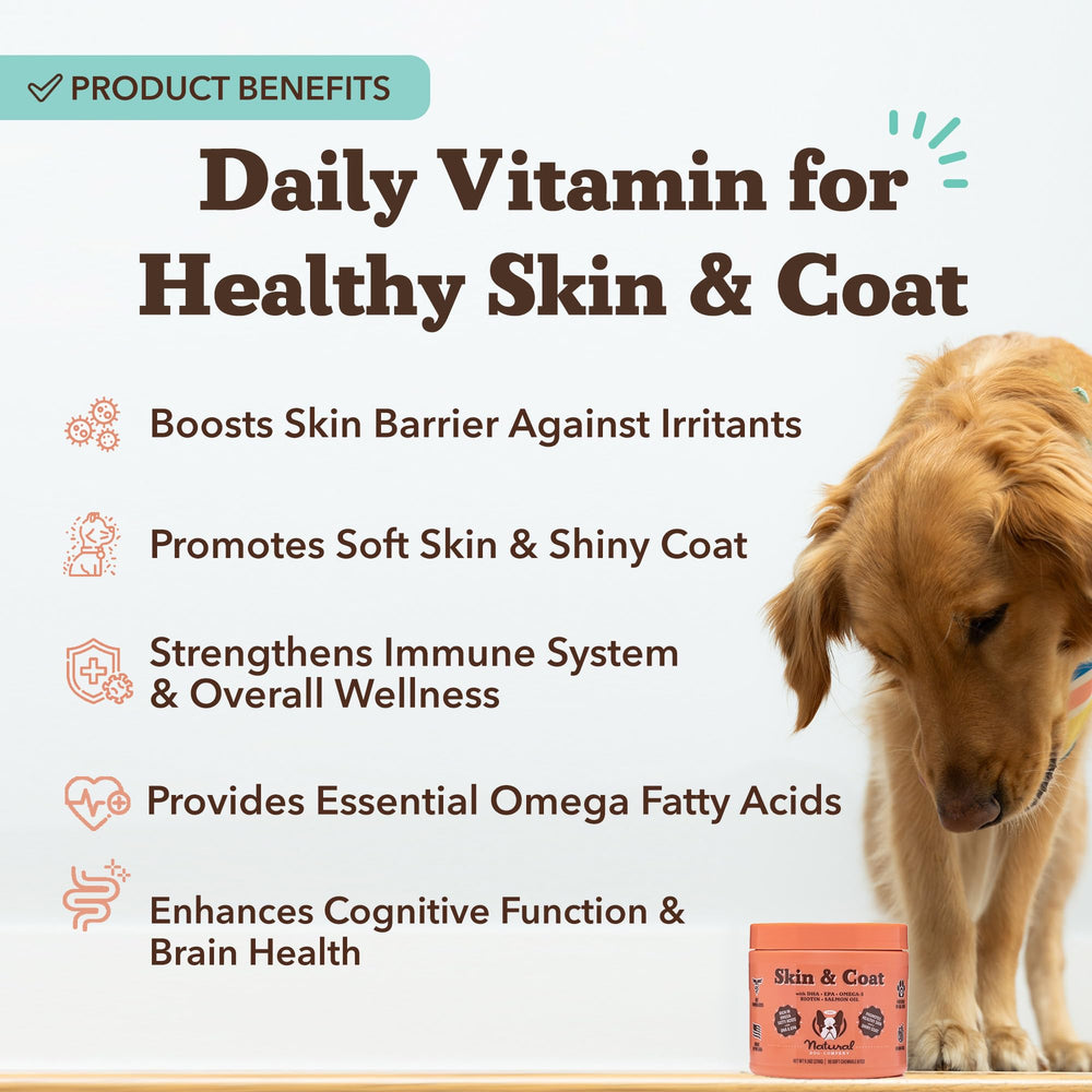 Natural Dog Company dog with glossy coat after supplement