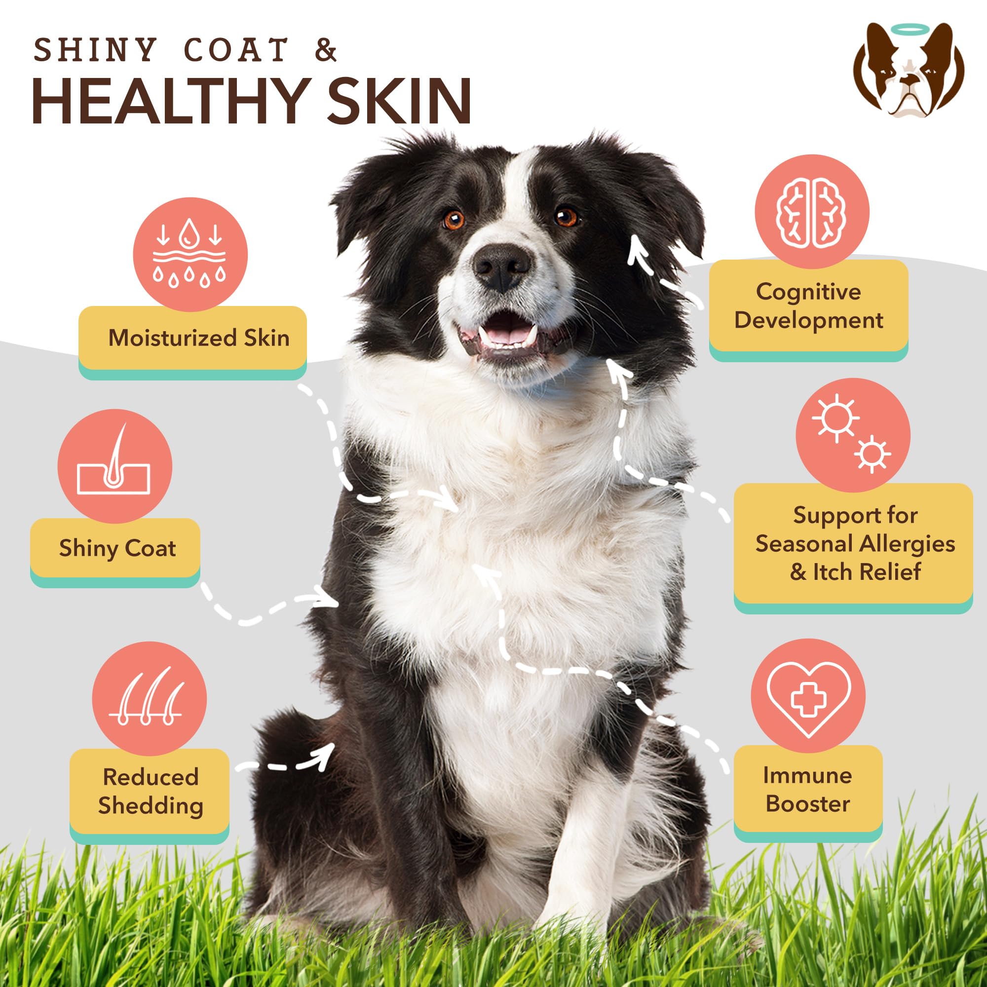 Natural Dog Company Fish Oil bottle for glossy coats and skin health