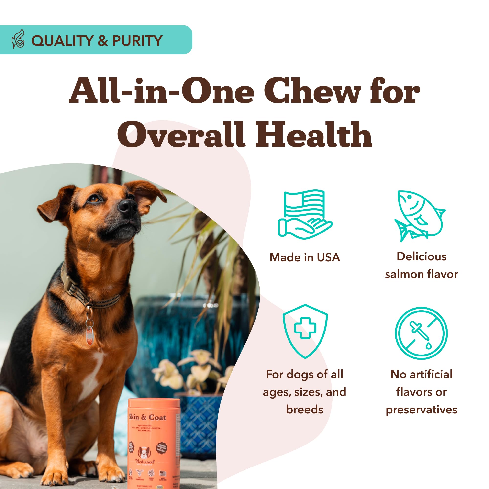Natural Dog Company easy-feeding guide graphic implies simple daily dosing for dogs