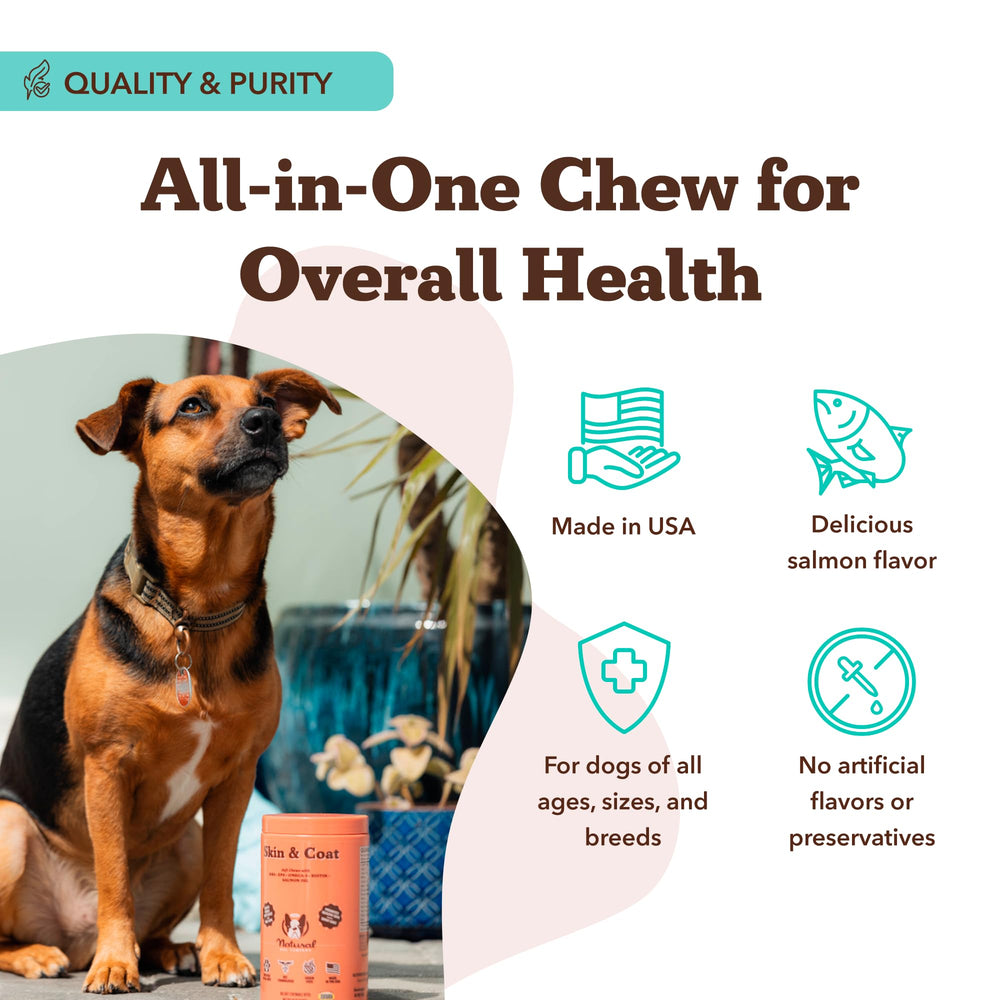 Natural Dog Company easy-feeding guide graphic implies simple daily dosing for dogs