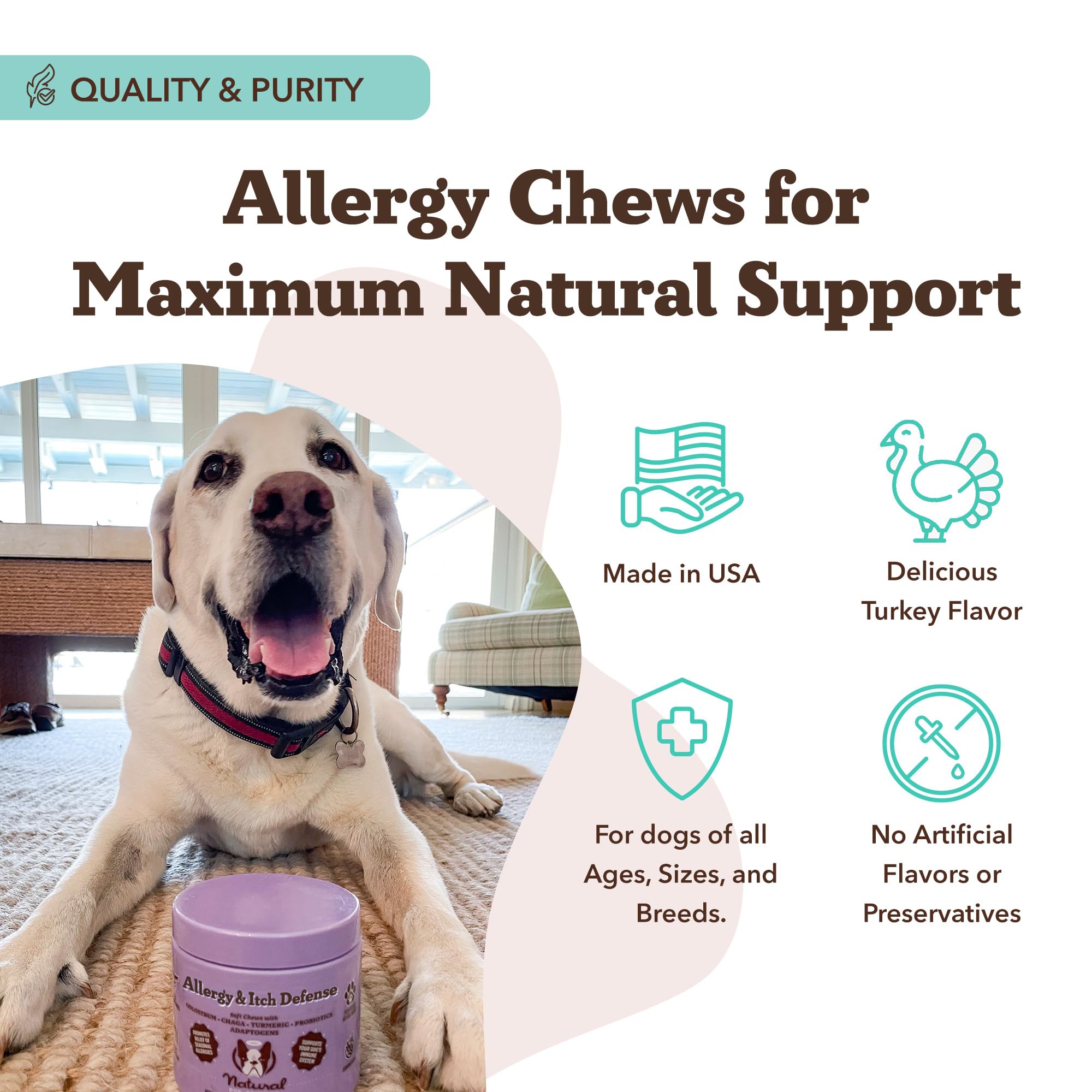 Natural Dog Company grain-free formula jar showcases digestible nutrition for dogs.