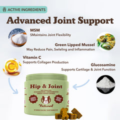 Natural Dog Company hip-joint formula ingredients highlight glucosamine and turmeric benefits.
