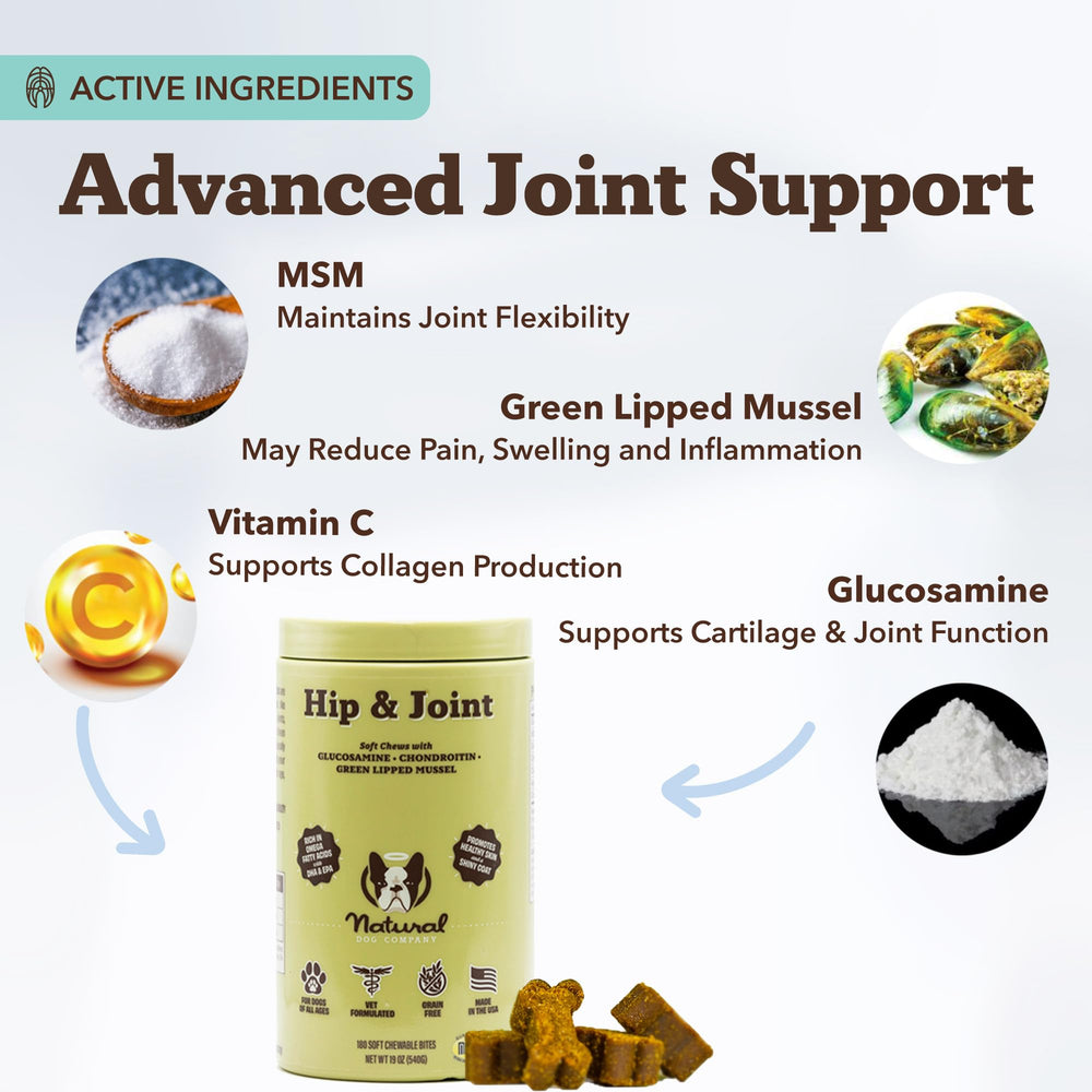 Natural Dog Company turmeric and green-lipped mussel highlight natural inflammation support