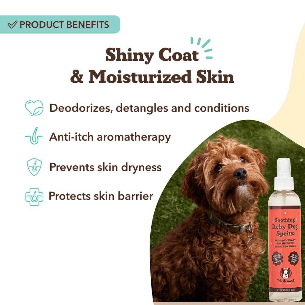 Natural Dog Company Itchy Dog Spritz applying spray to dog's fur for deodorizing.