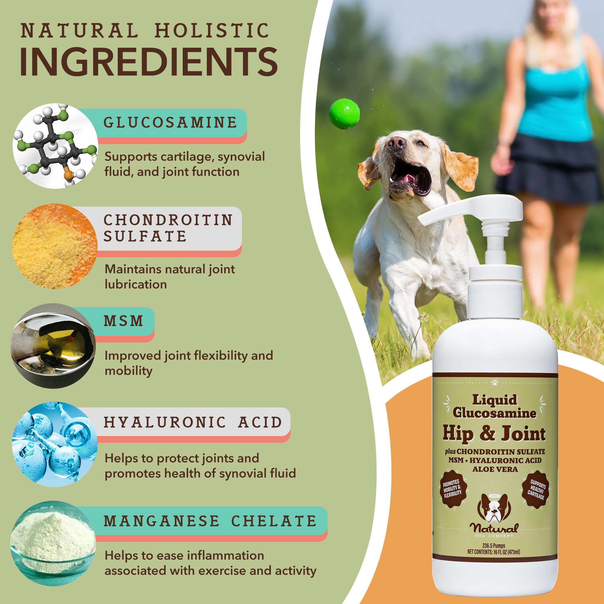 Natural Dog Company Liquid Glucosamine bottle showcasing joint support nutrients