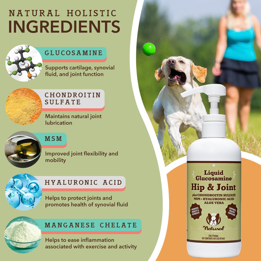Natural Dog Company Liquid Glucosamine bottle showcasing joint support nutrients