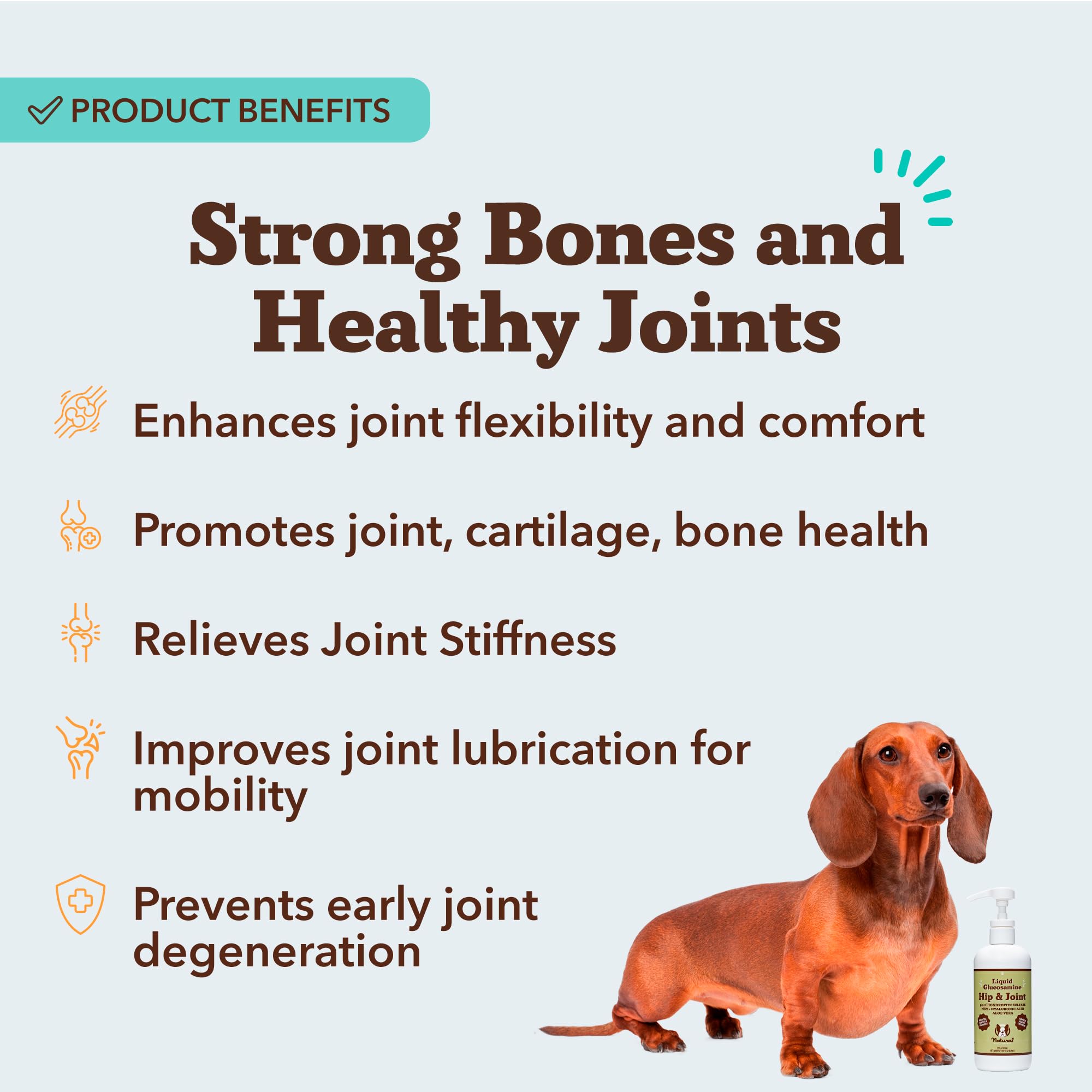 Natural Dog Company Liquid Glucosamine mixed into dog food at mealtime.