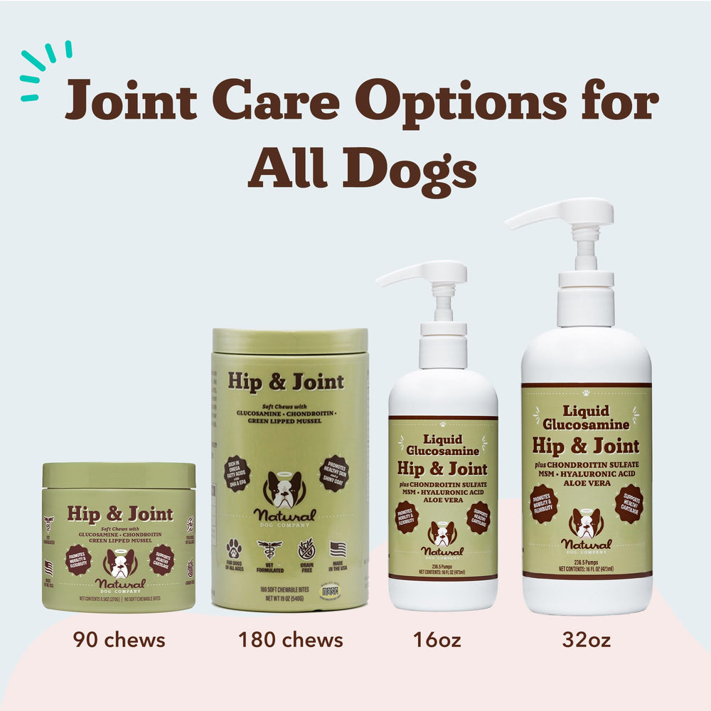 Natural Dog Company Liquid Glucosamine healthy-mobility showcasing daily activity potential.