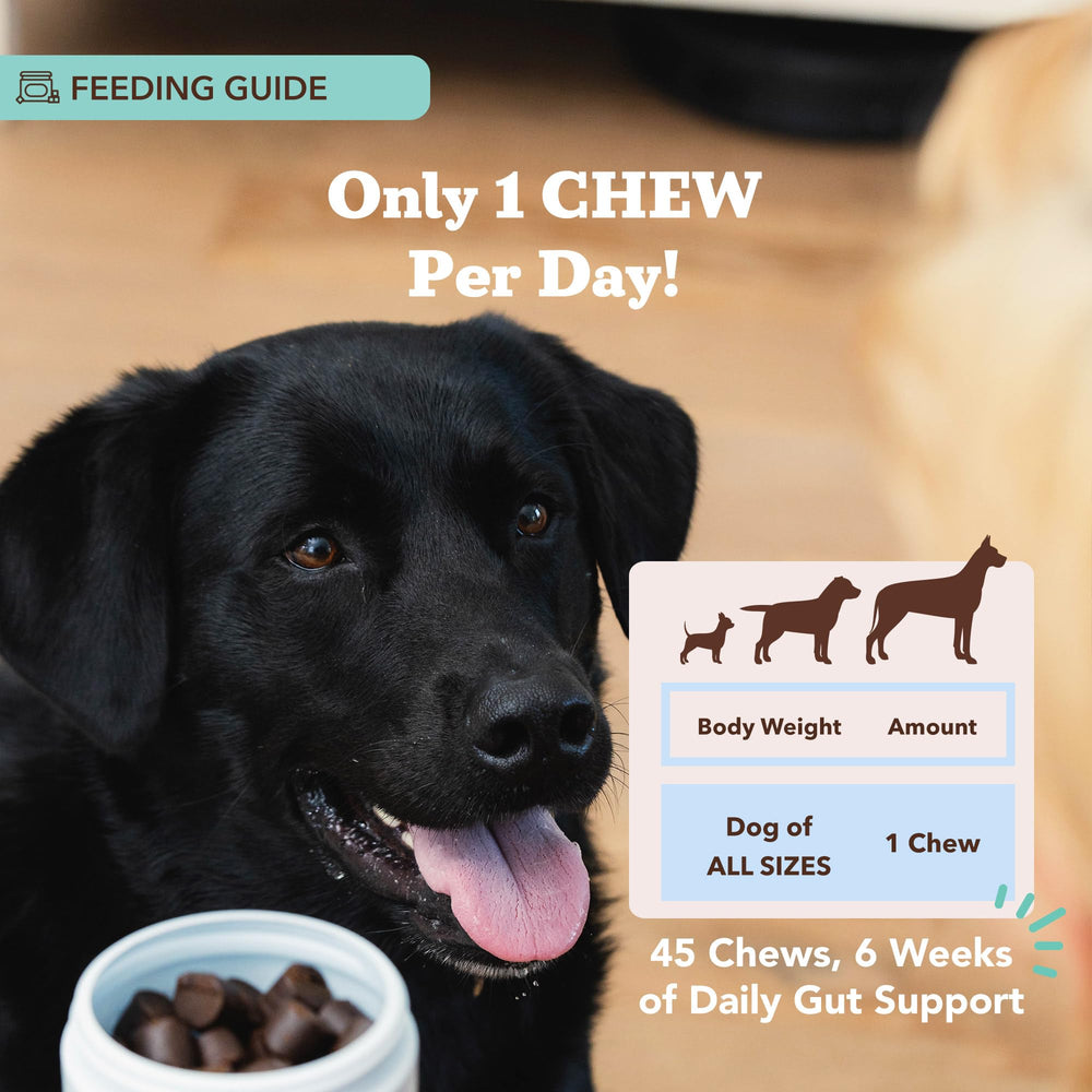 Natural Dog Company microencapsulation closeup emphasizes live cultures surviving stomach acid.