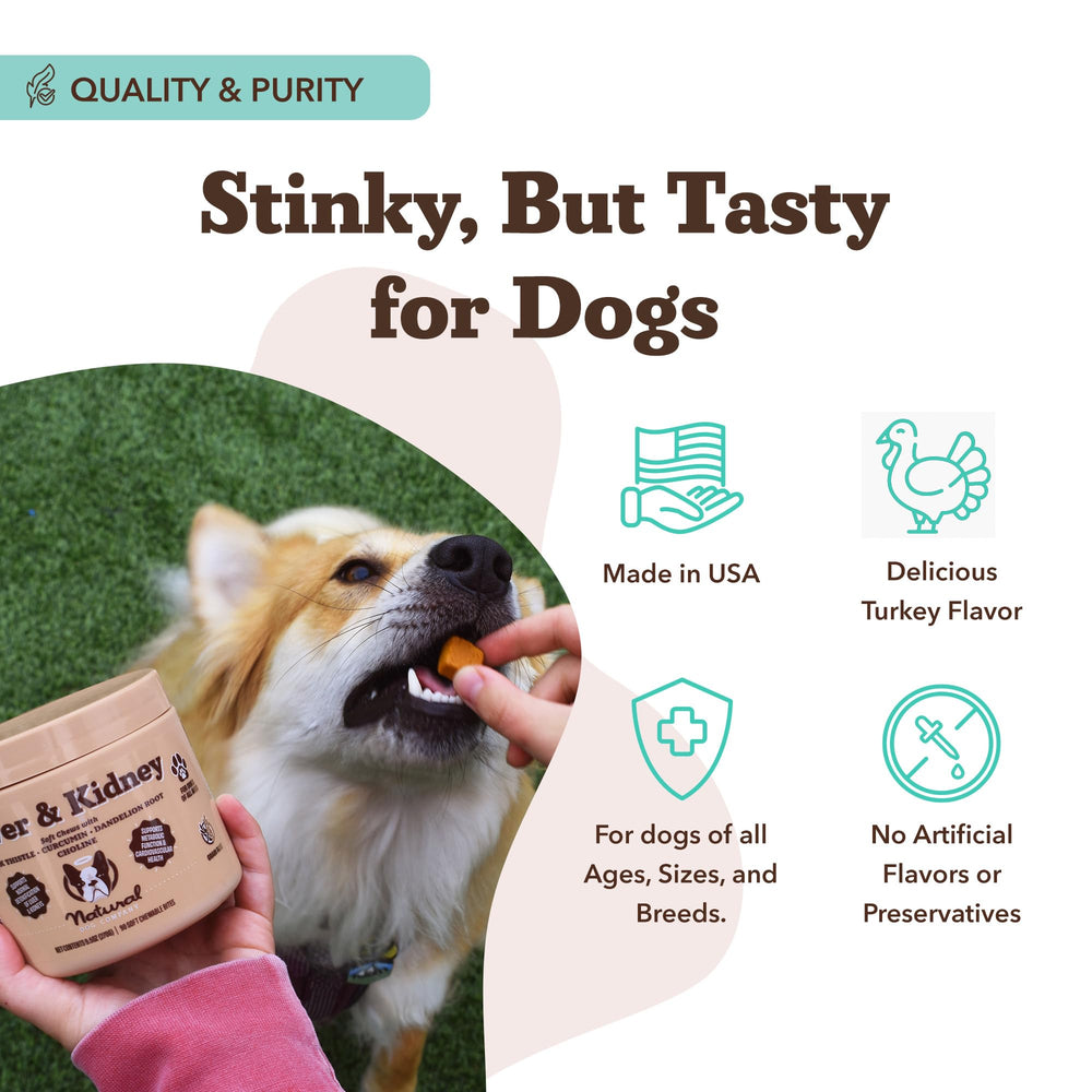Natural Dog Company close-up of herbal ingredients; milk thistle and turmeric for organ health.