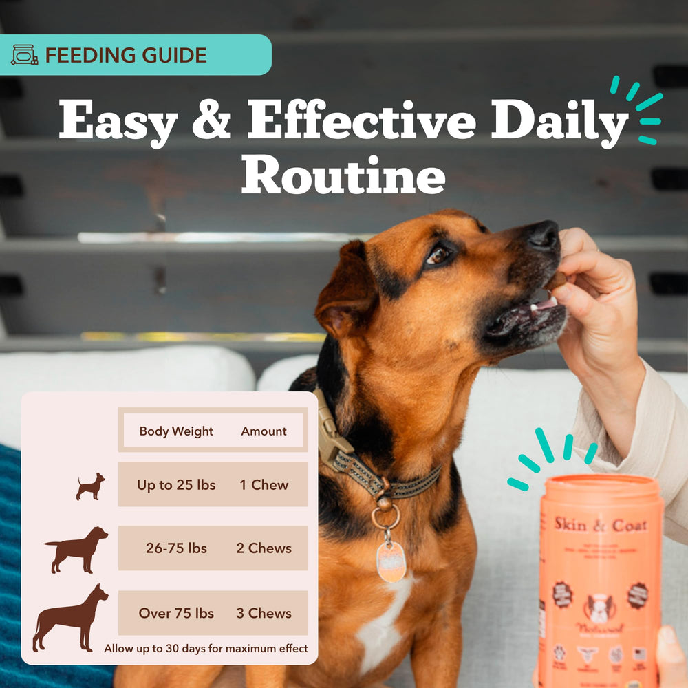 Natural Dog Company NASC vet-approved logo indicating trusted quality and safety