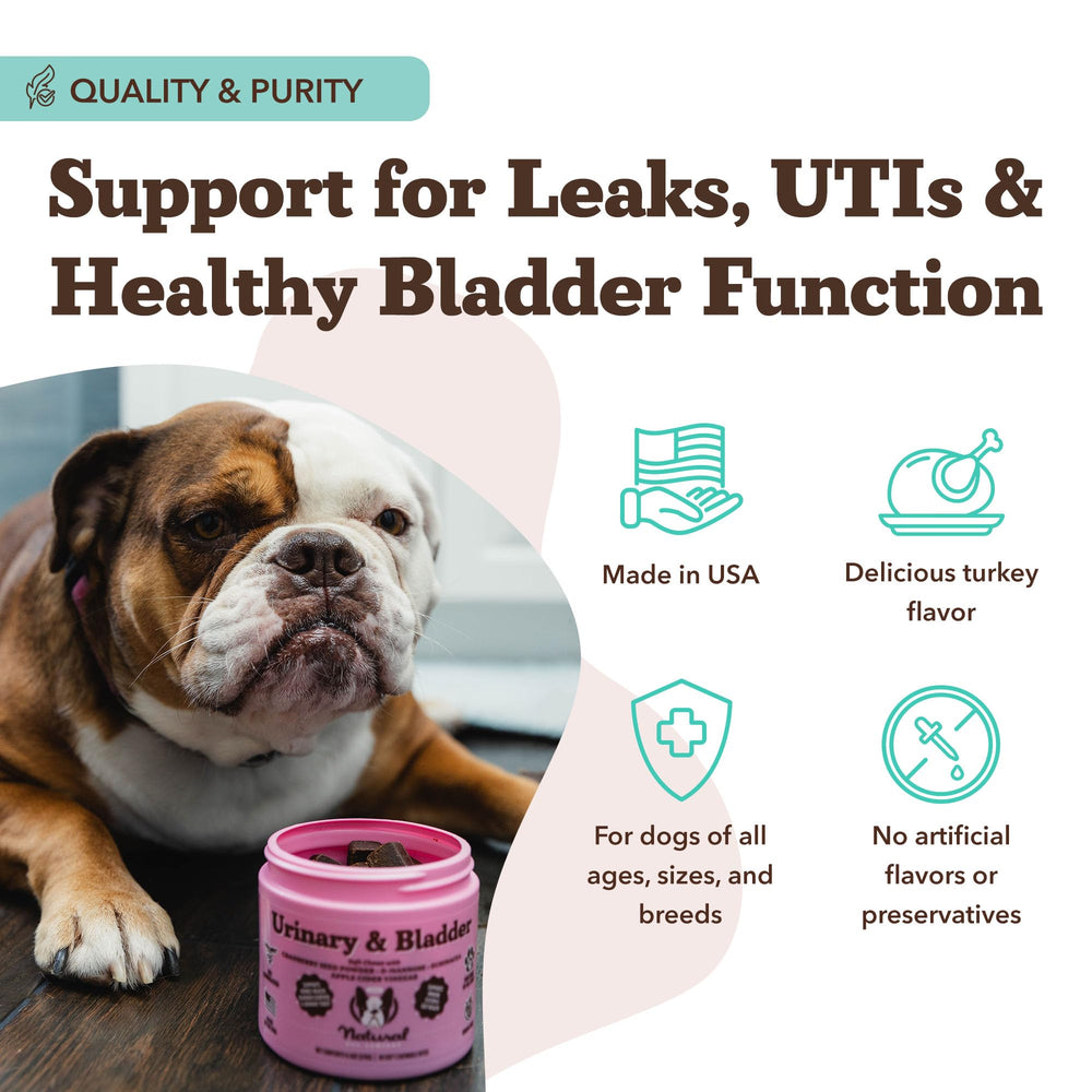 Natural Dog Company no-harsh-additives soft chews provide natural urinary support without harsh ingredients.