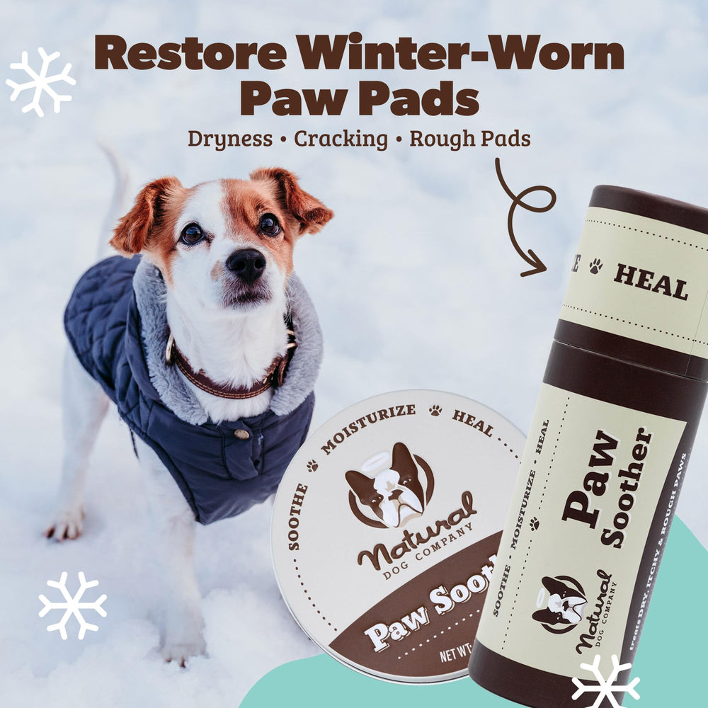 Natural Dog Company Paw Soother helping a dog's paw care after outdoor walk.