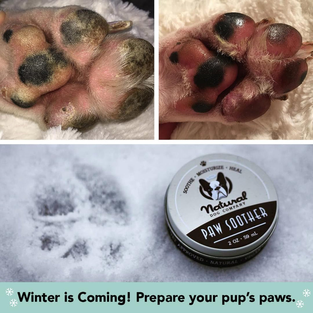 Natural Dog Company Paw Soother protecting paws from cracks and wounds during hikes.