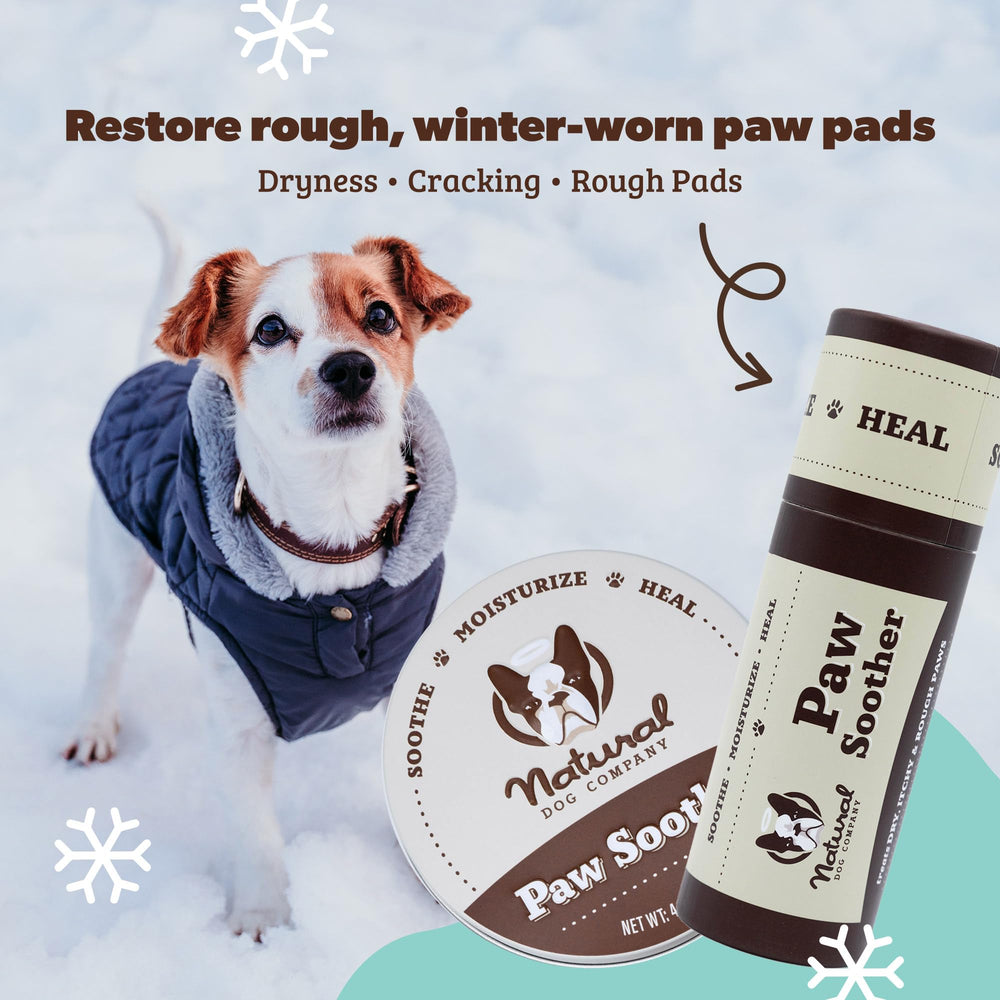 Natural Dog Company Paw Soother texture spread demonstrates rich emollients softening paw pads.