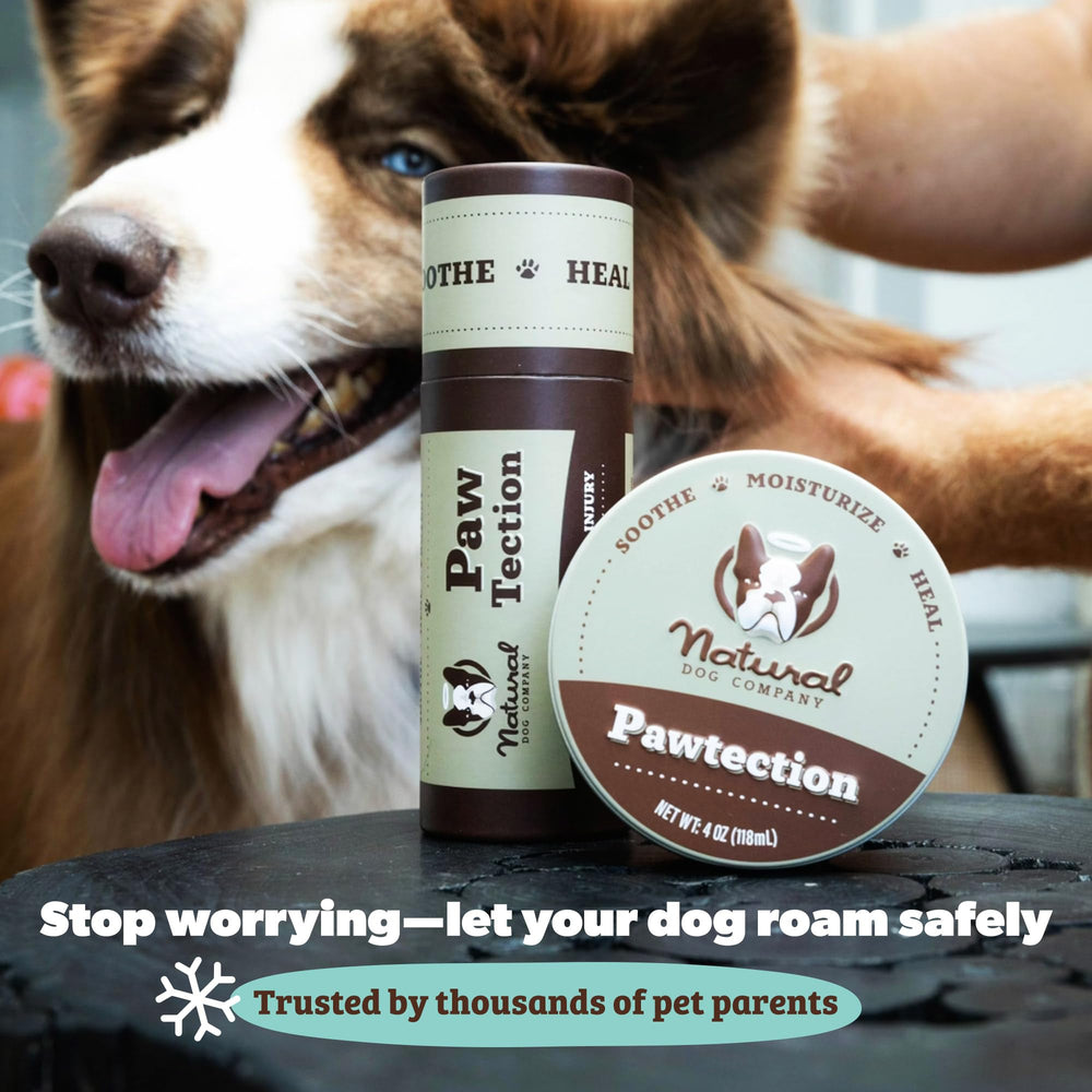 Natural Dog Company PawTection Balm safe for all breeds and ages