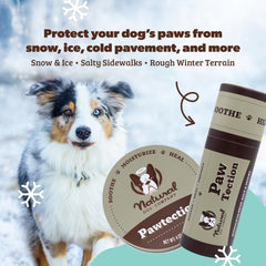 Natural Dog Company PawTection Balm label front with shea butter calendula for moisturizing paw pads