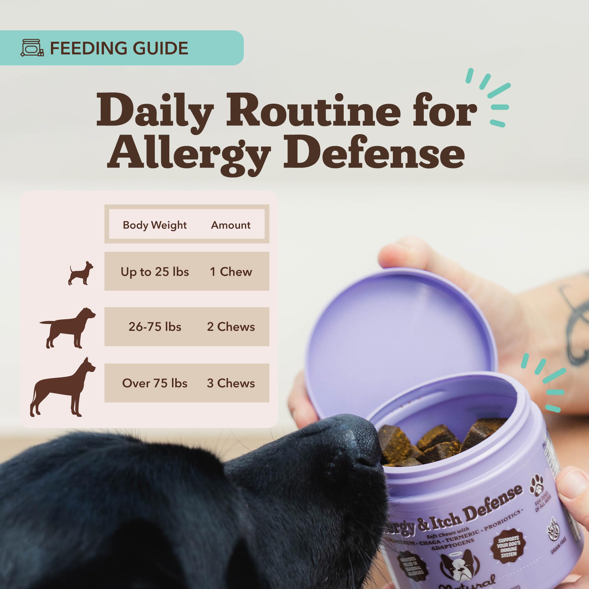 Natural Dog Company probiotic gut health illustration emphasizes balanced digestion.