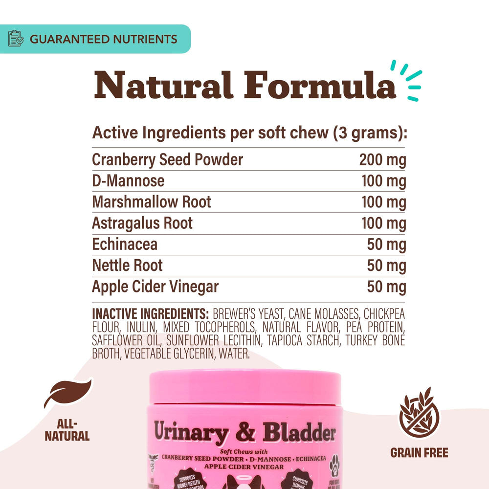 Natural Dog Company probiotic-pairing soft chews complement daily probiotic routines for broader wellness.