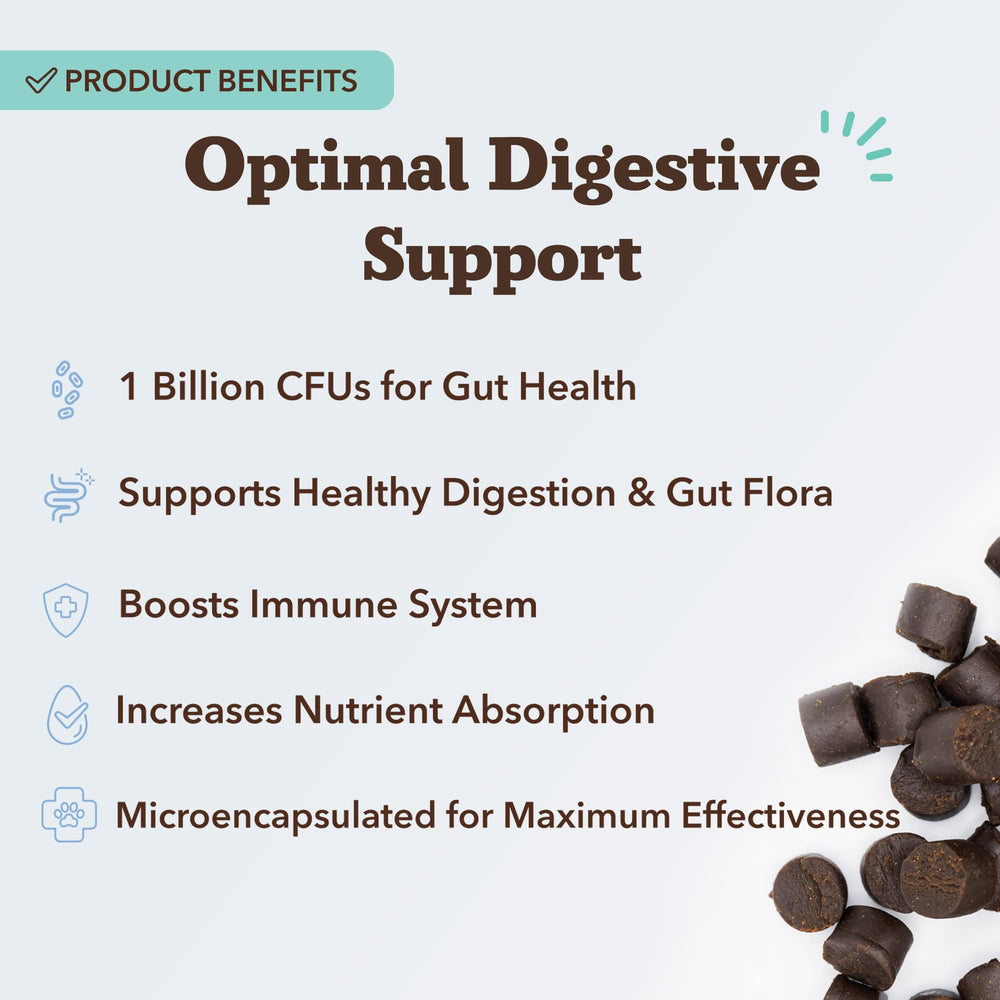 Natural Dog Company probiotics chews closeup highlights microencapsulation for better enzyme delivery.
