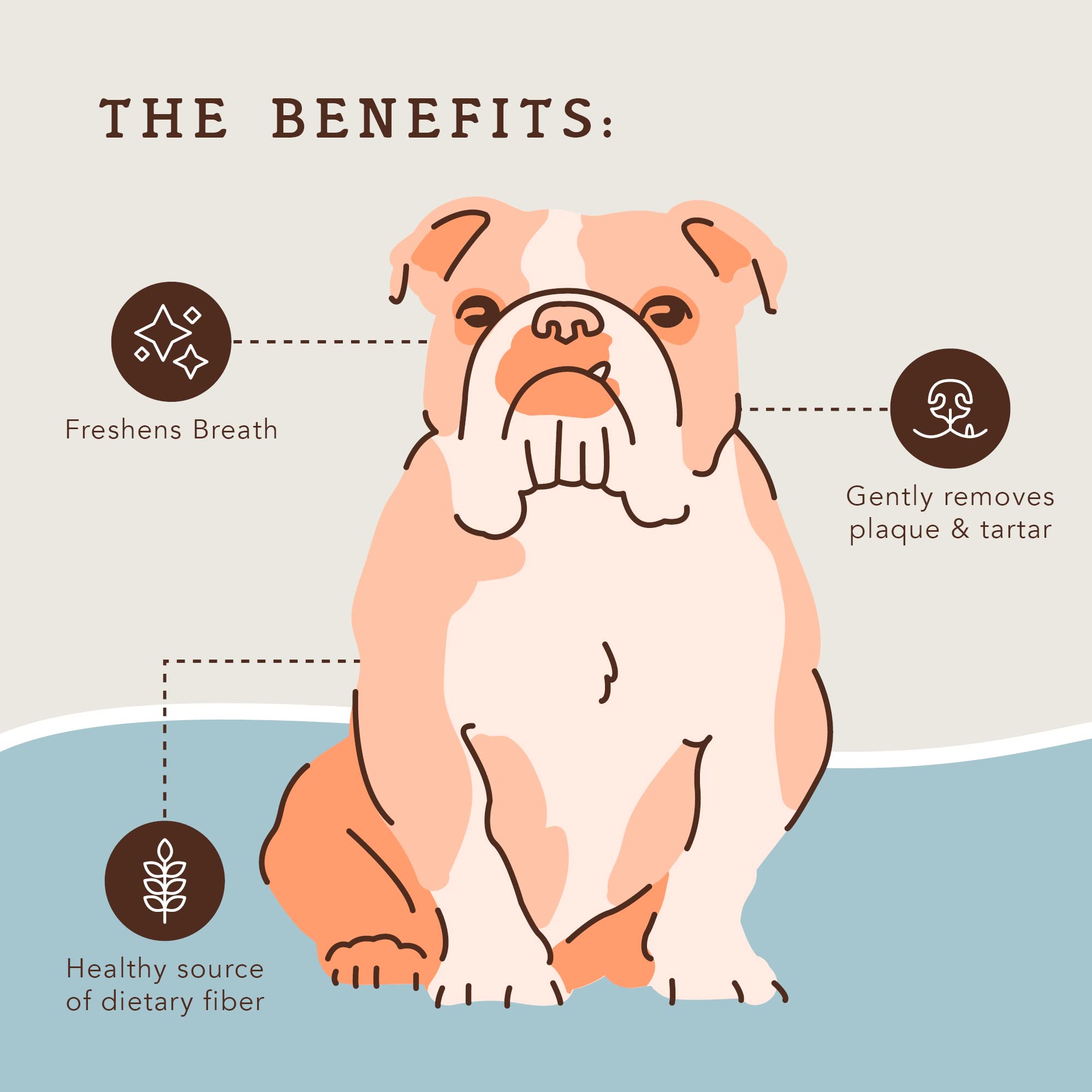 Natural Dog Company respiracion fresca: aliento más agradable tras la masticación.