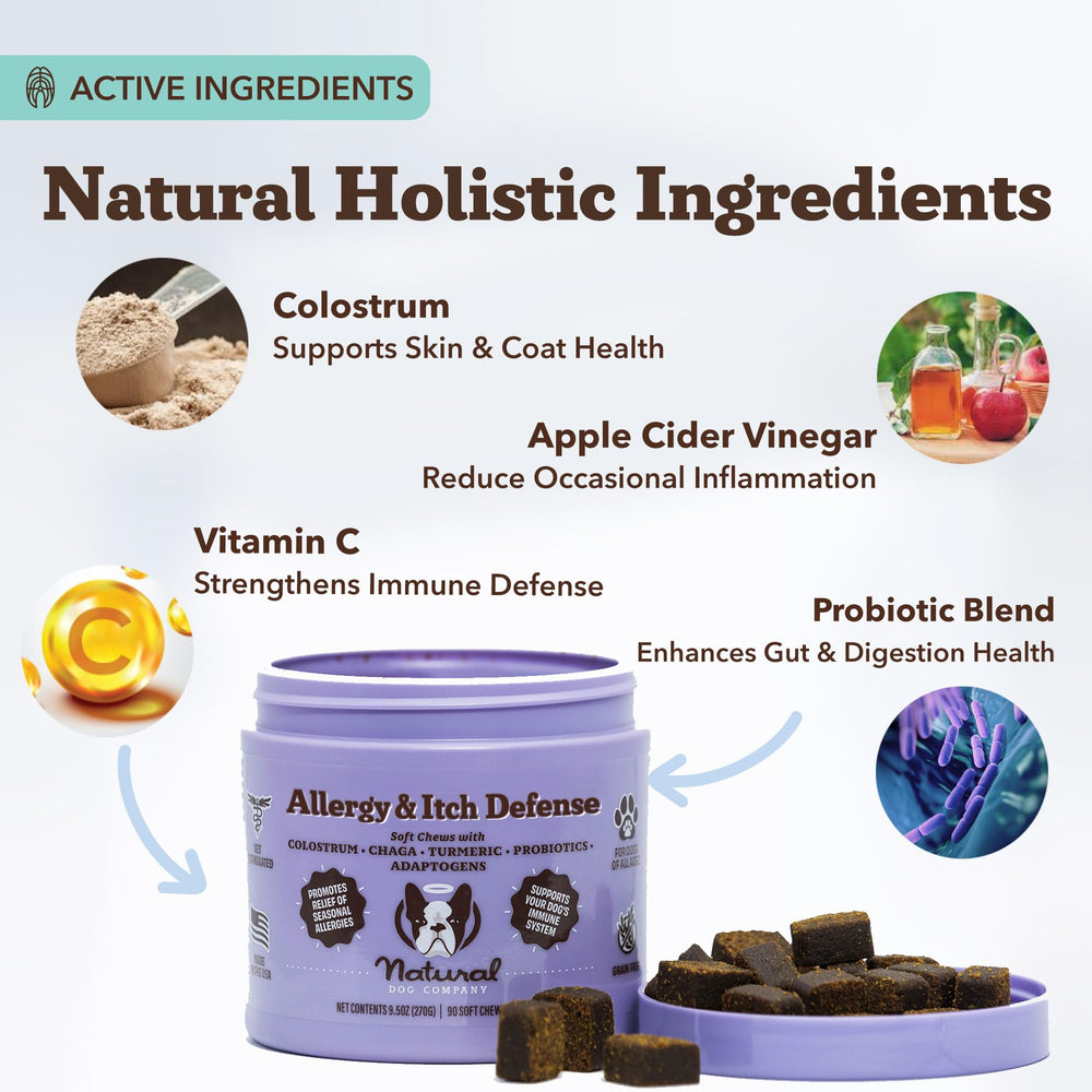 Natural Dog Company salmon oil probiotics blend visual implying healthy skin and gut balance.