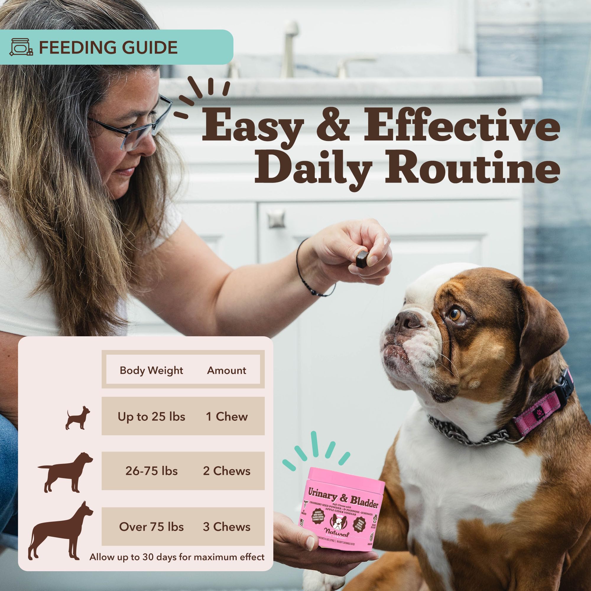 Natural Dog Company seasonal-changes-soft-chews help dogs maintain comfort during travel or aging.
