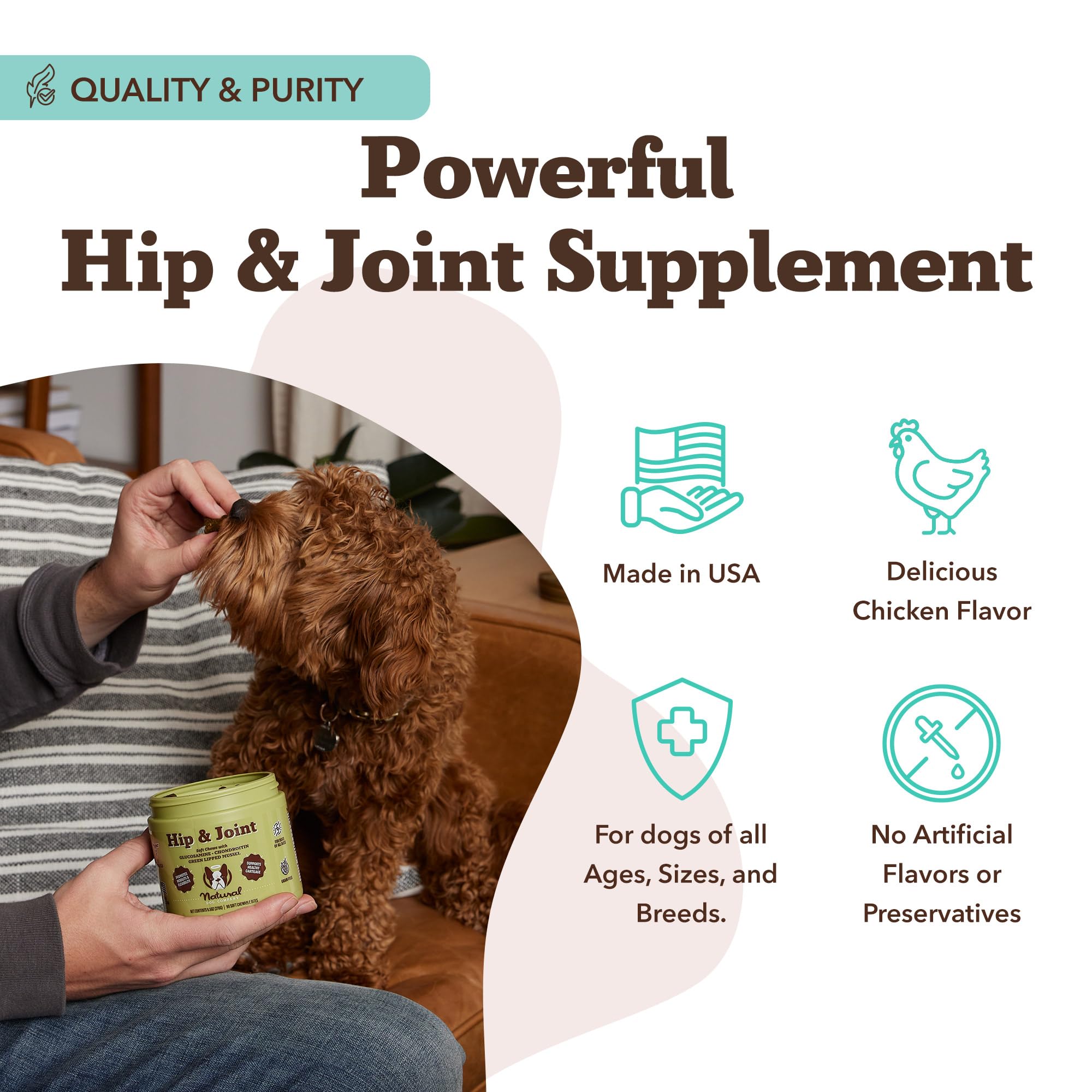 Natural Dog Company senior-dog-friendly-activity image illustrating comfort during play.