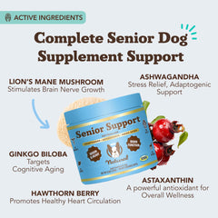 Natural Dog Company Senior Dog Vitamins chew eye vision support for clearer sight.