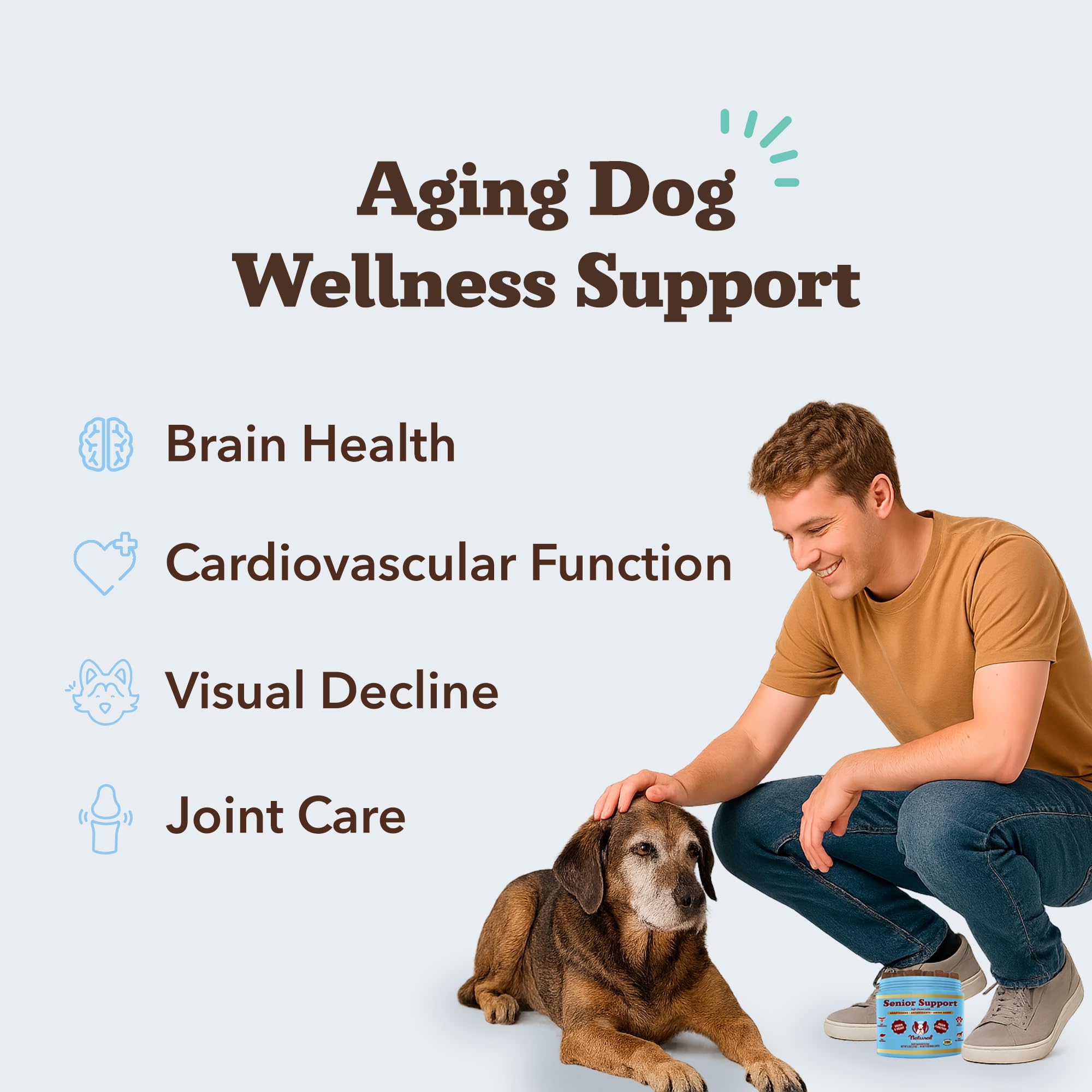 Natural Dog Company Senior Dog Vitamins chew heart circulation support for steady energy.