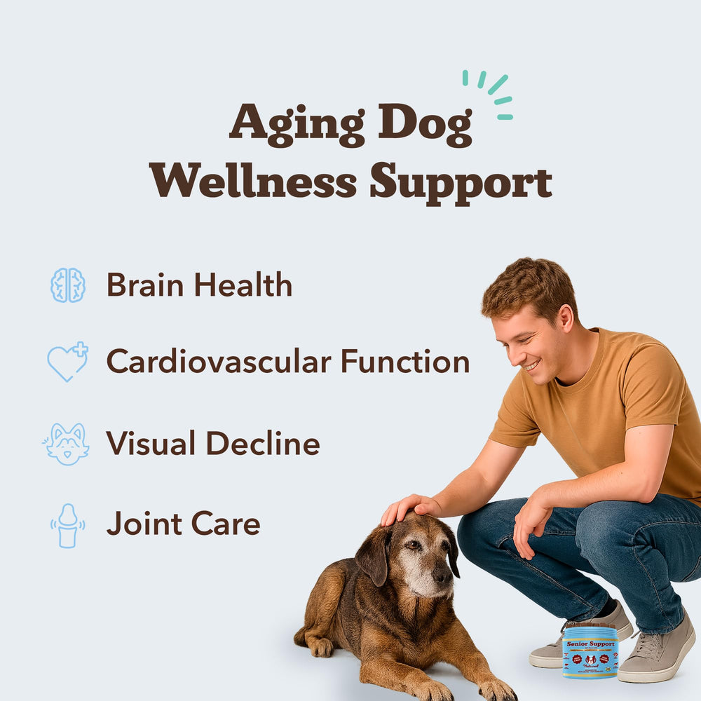 Natural Dog Company Senior Dog Vitamins chew heart circulation support for steady energy.