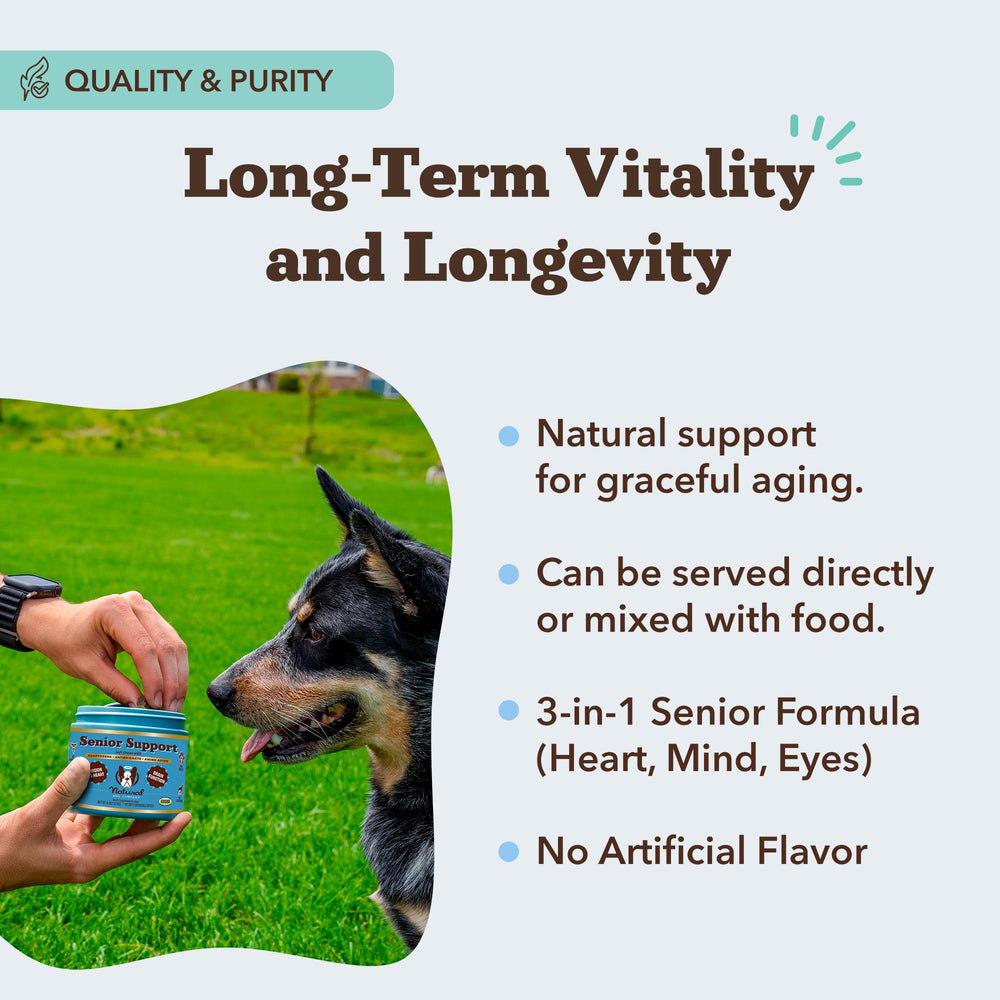 Natural Dog Company Senior Dog Vitamins chew Lions Mane ingredients shown for cognitive support.